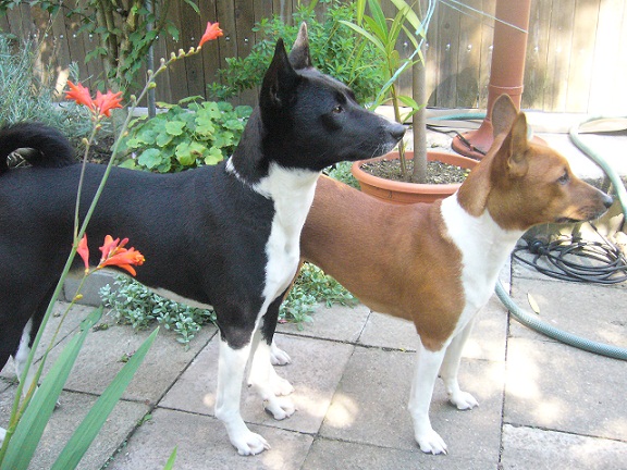 Chioke & Jamila na zahradě