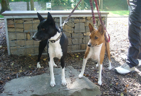 Chioke & Jamila